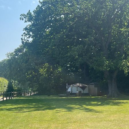 Hotel Old Dairy Farm Glamping à Emsworth Extérieur photo